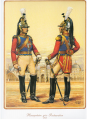 Mousquetaire gris